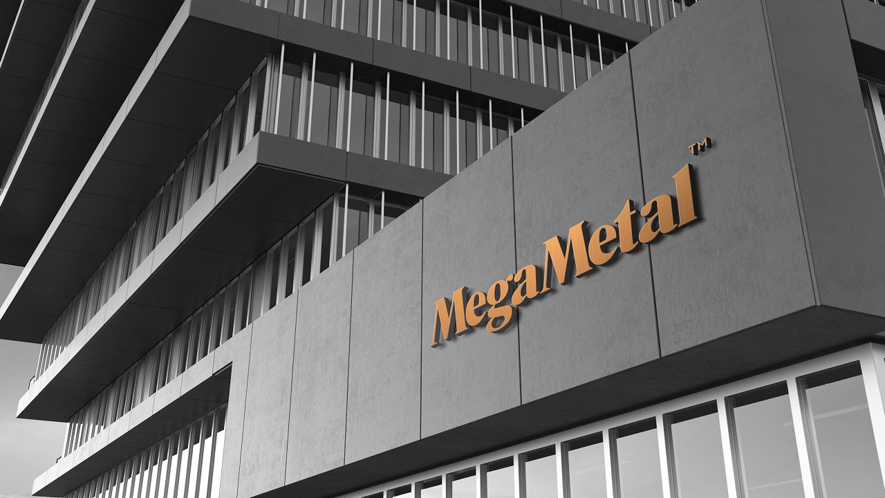 MEGMT Kimin Mega Metal Ne İş Yapar